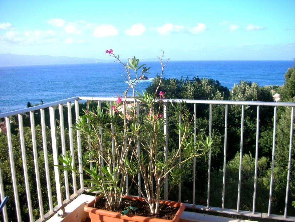 Appartement Climatise Vue Mer Route Des Sanguinaires Ajaccio  Bagian luar foto